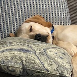 Meet your Posher, Jennifer